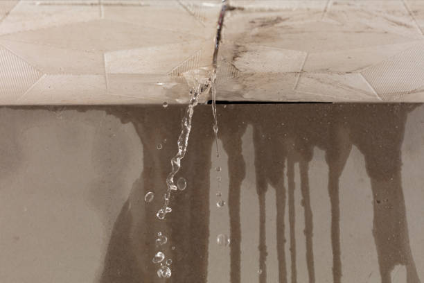 Professional Flood Damage Cleanup technician working in Columbia Station, OH